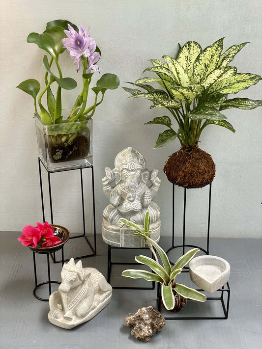 Metal Square Stand - S/L