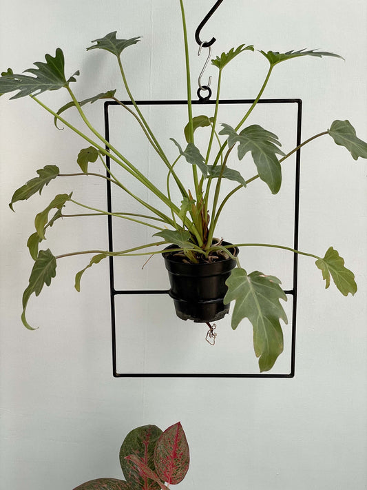 Metal Pot Hanger - Rectangle