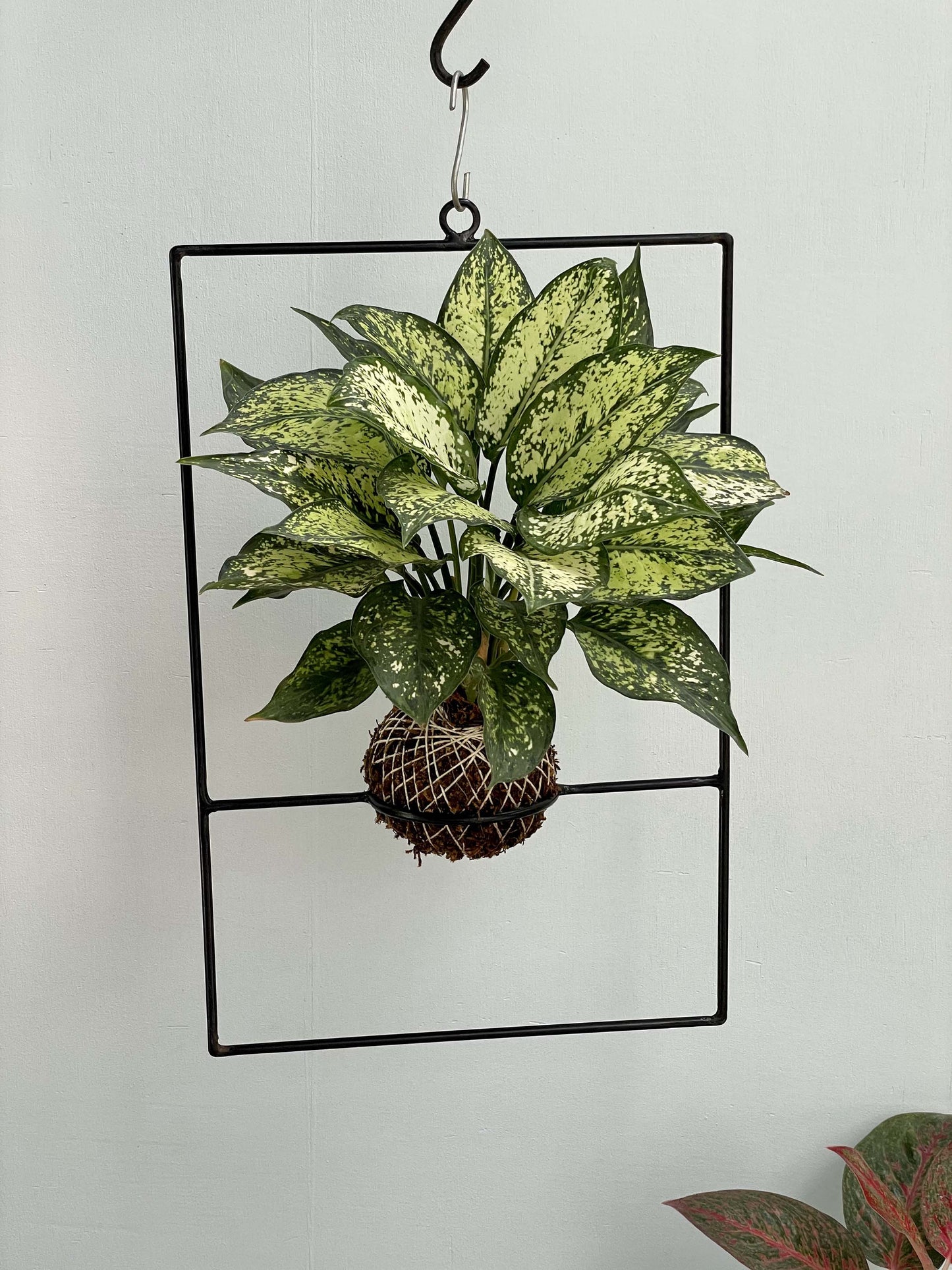 Metal Pot Hanger - Rectangle