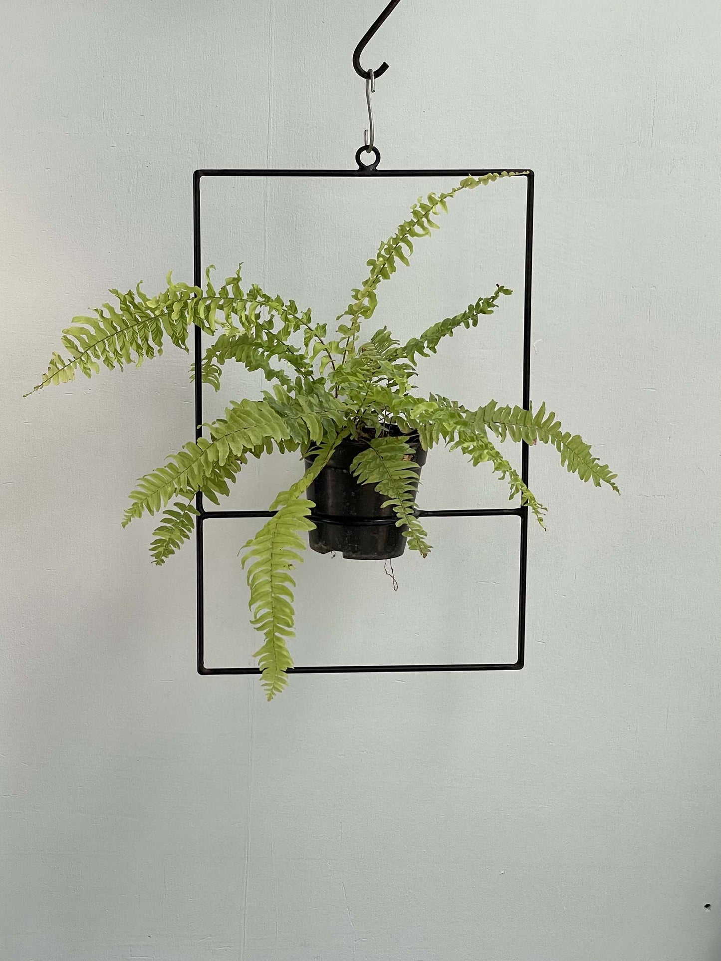 Metal Pot Hanger - Rectangle