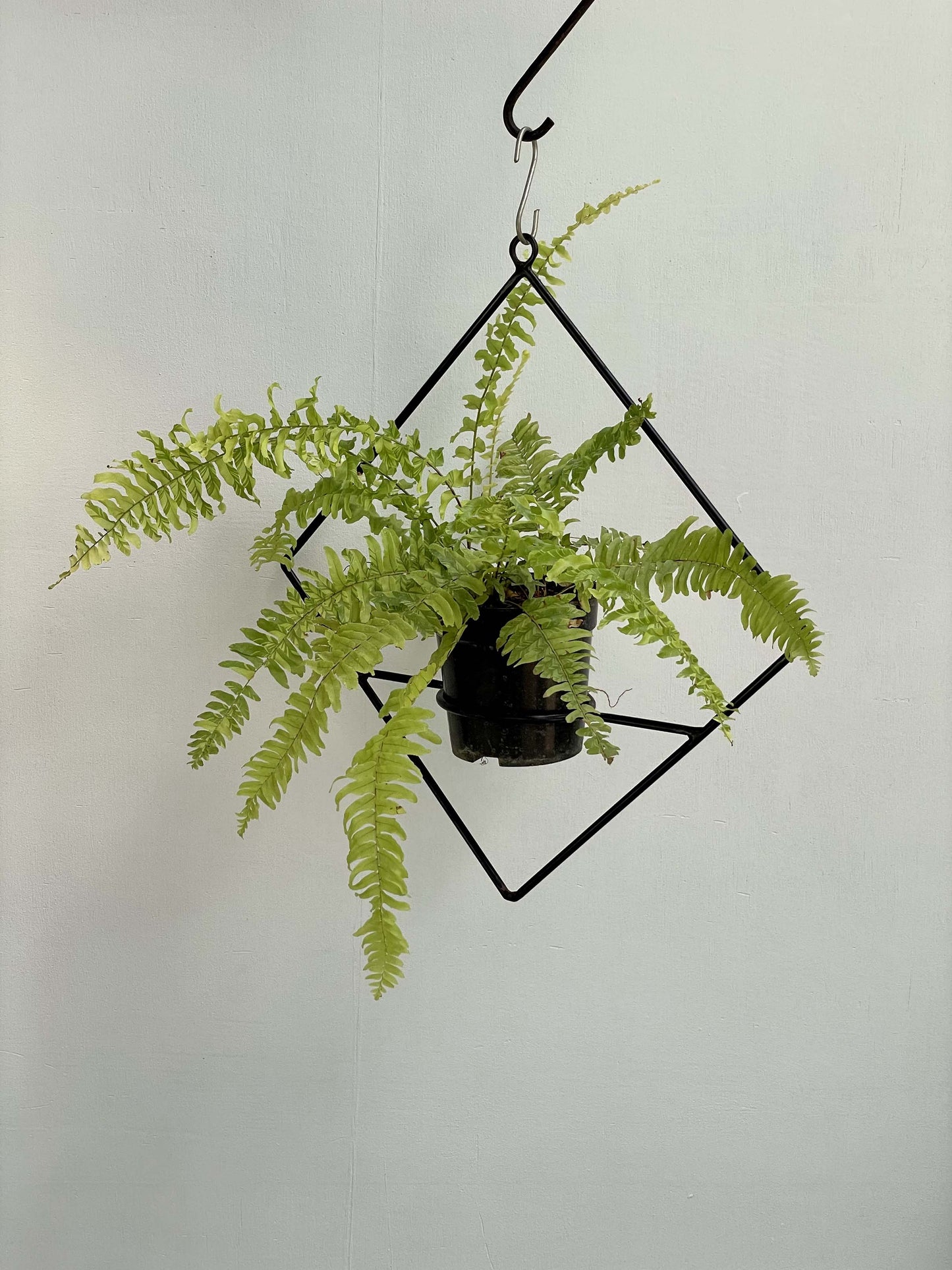 Metal Pot Hanger - Diamond