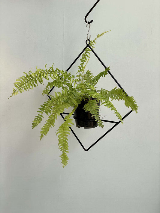 Metal Pot Hanger - Diamond