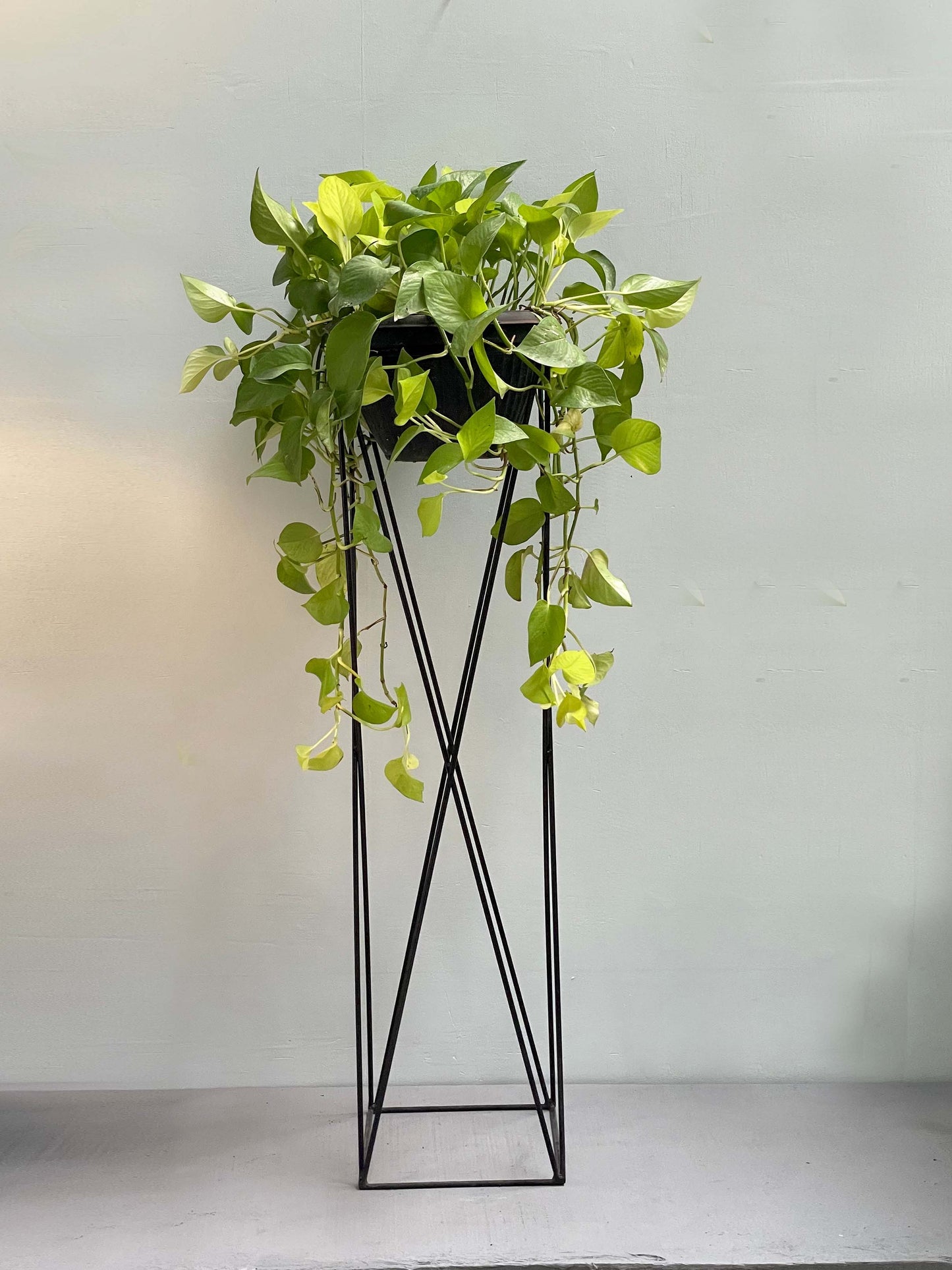 Metal Pot Stand - 3ft