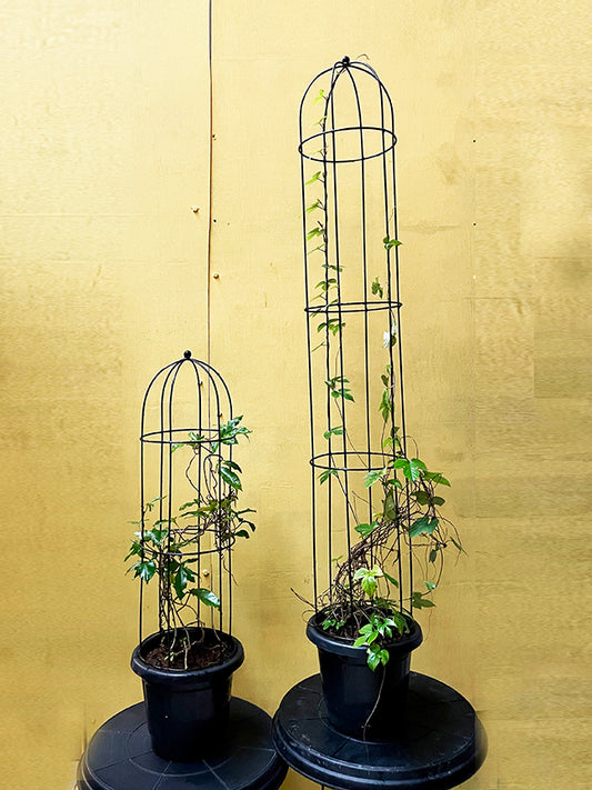 Metal Trellis