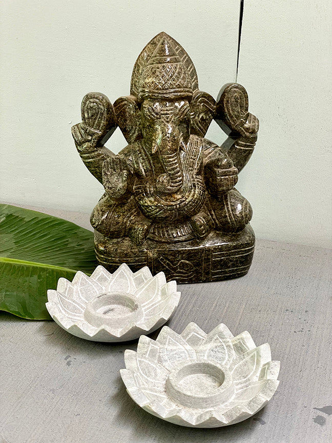 Ganesha Kit 14