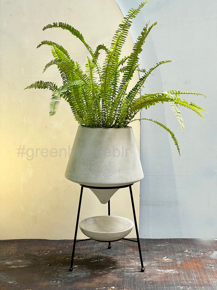 Lucca Concrete Pot With Stand