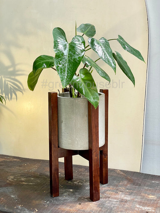 Prato Concrete pot with Stand