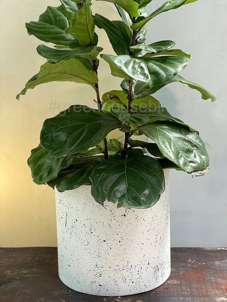 Milan Concrete Planter Large