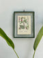 Antique Botanical Oleograph Prints (Reversible) - Frame 5