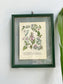 Antique Botanical Oleograph Prints (Reversible) - Frame 4