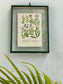 Antique Botanical Oleograph Prints (Reversible) - Frame 3