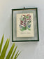 Antique Botanical Oleograph Prints (Reversible) - Frame 2