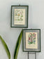 Antique Botanical Oleograph Prints (Reversible) - Frame 5