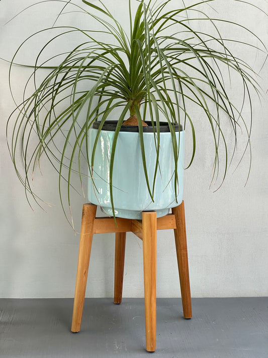 Minimalist Planter with Wooden Stand - Cylinder