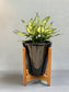 Minimalist Planter with Wooden Stand - Cone Small