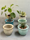 Table top Succulent Pots - Tapered
