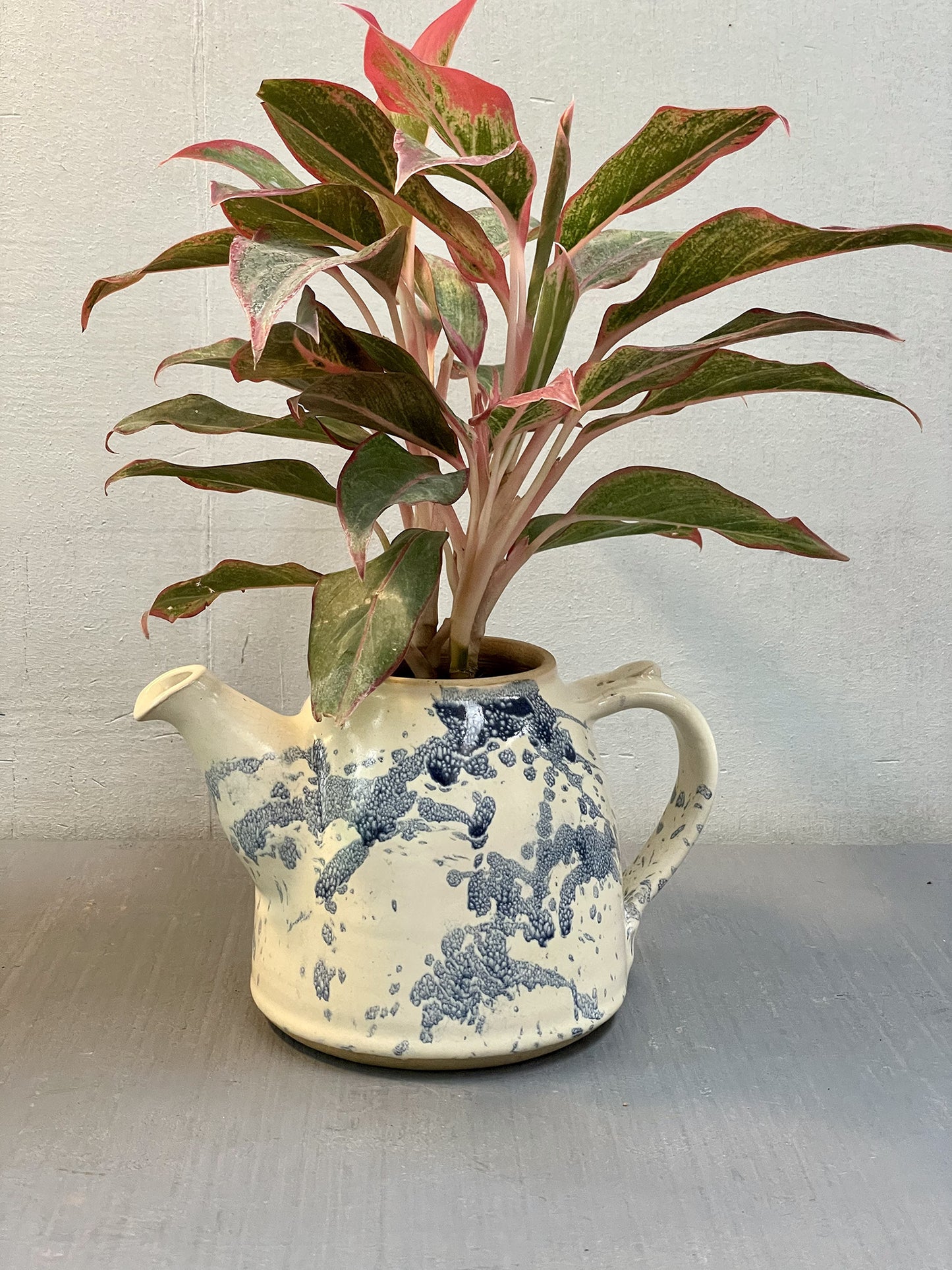 Potted Teapot Ceramic - Blue & White