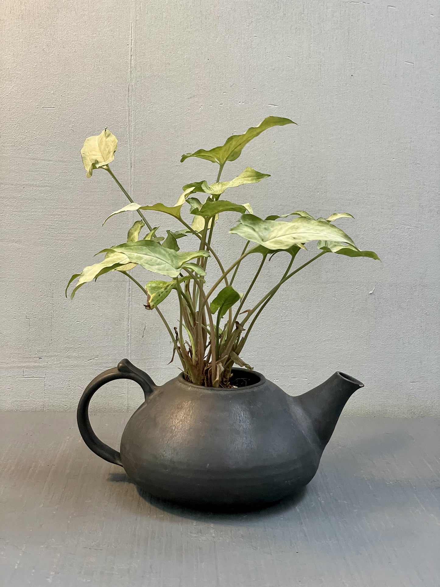 Potted Teapot Ceramic - Elephant Grey