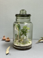 Closed Terrarium Pickle Jar - Tall