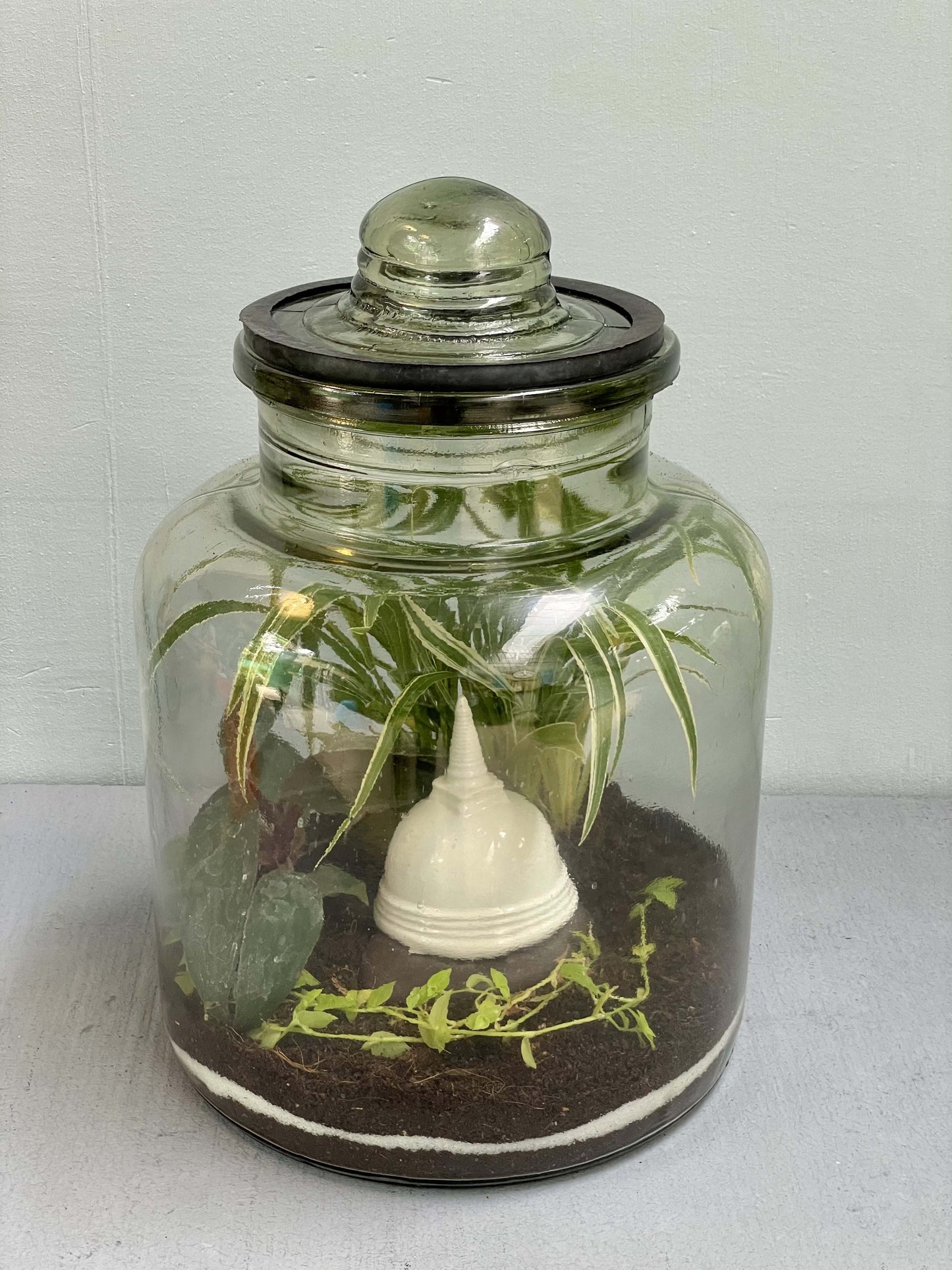 Closed Terrarium Pickle Jar - Wide