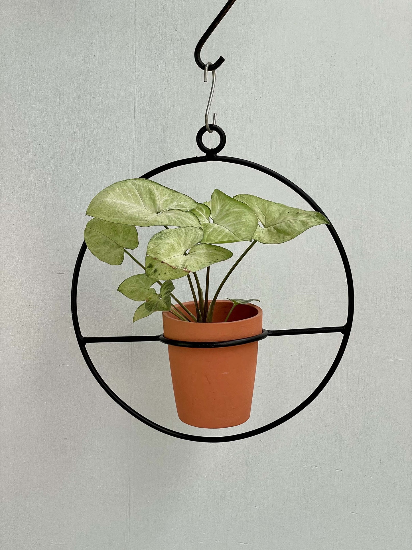 Metal Pot Hanger - Circle