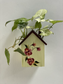 Bird House Wooden Planter - Handpainted