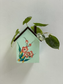 Bird House Wooden Planter - Handpainted