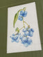 Original Artwork - ಬೆರಿಹಣ್ಣುಗಳು / Blueberries  - Framed Water Colours
