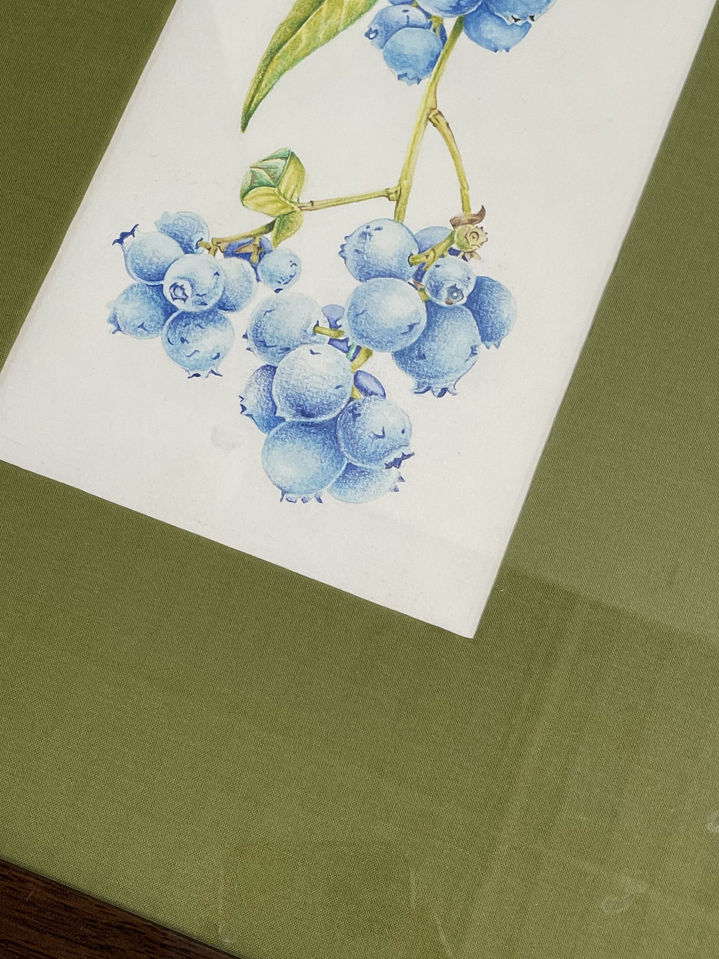 Original Artwork - ಬೆರಿಹಣ್ಣುಗಳು / Blueberries  - Framed Water Colours