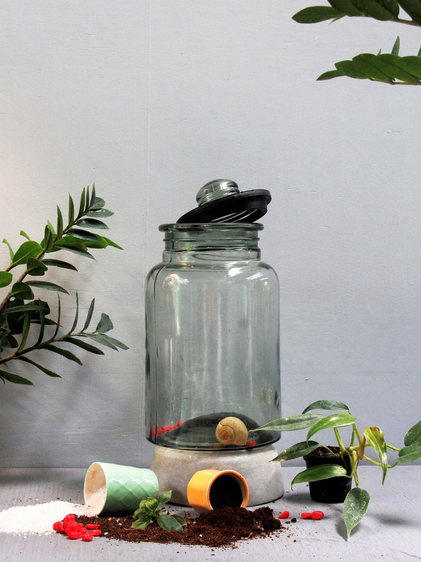 Sealed Terrarium Kit - Pickle Jar Tall